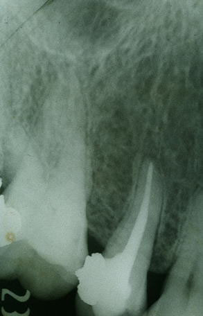 ������q�@�ƐтƘ_���̏Љ�