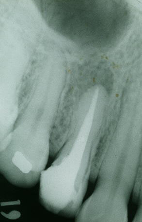 ������q�@�ƐтƘ_���̏Љ�